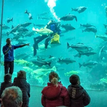 With Free Parking Lägenhet Ålesund