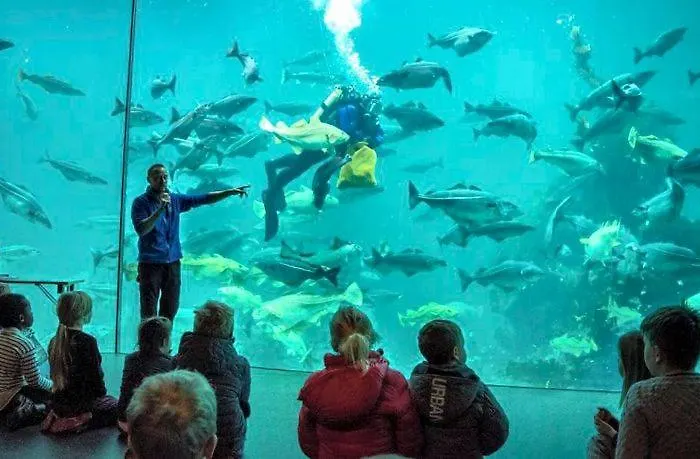 With Free Parking Appartement Ålesund