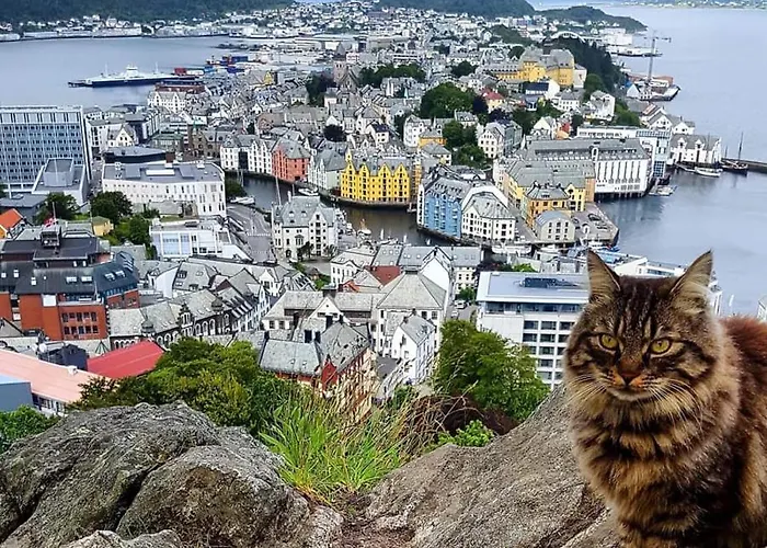 Appartement With Free Parking