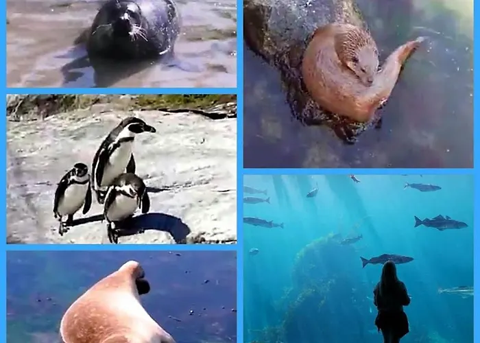 Appartement With Free Parking